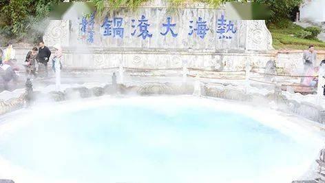 野生枸杞盆景老桩这两个哪个好看？？